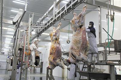 周口華發清真食品有限公司車間降溫